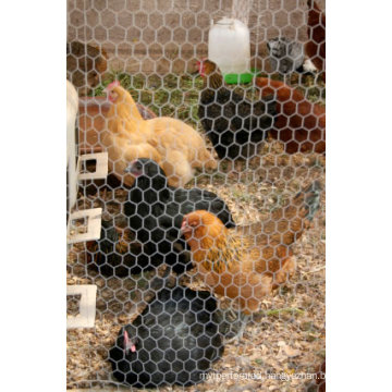 2" Chicken Wire